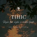 Tihic – Slujire fără orgolii și ambiții firești (Fapte 20:4; Efeseni 6:21; Col 4:7) 319/365